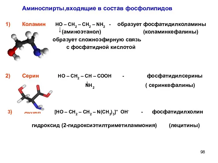 Коламин НО – СН2 – СН2 – NH2 - образует фосфатидилколамины