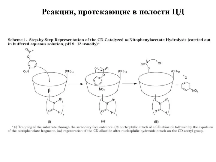 Реакции, протекающие в полости ЦД