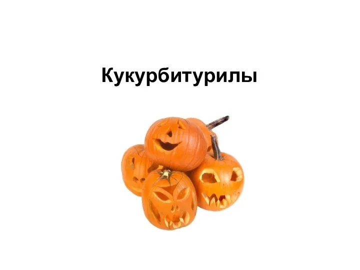 Кукурбитурилы