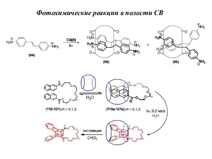 Фотохимические реакции в полости СВ