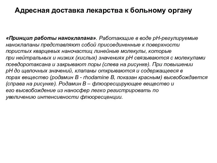 «Принцип работы наноклапана». Работающие в воде pH-регулируемые наноклапаны представляют собой присоединенные