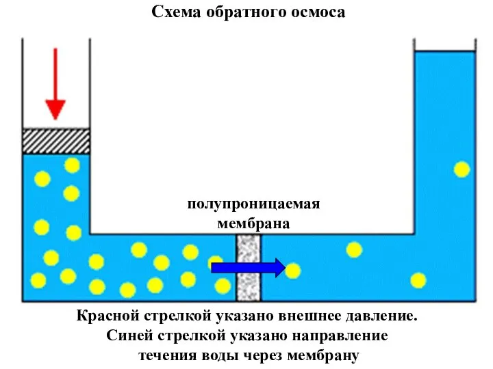 полупроницаемая мембрана Схема обратного осмоса Красной стрелкой указано внешнее давление. Синей