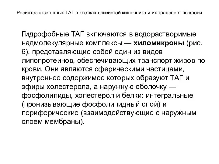 Ресинтез экзогенных ТАГ в клетках слизистой кишечника и их транспорт по