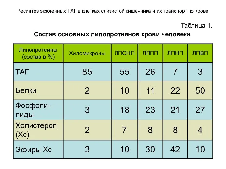 Ресинтез экзогенных ТАГ в клетках слизистой кишечника и их транспорт по