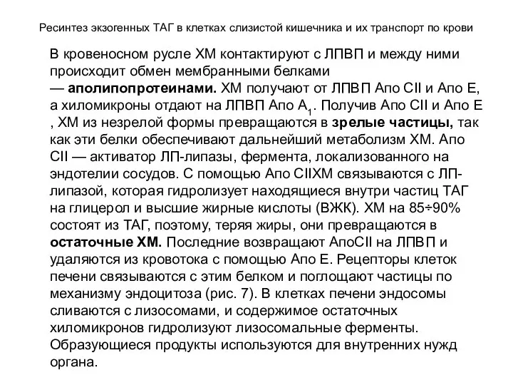 Ресинтез экзогенных ТАГ в клетках слизистой кишечника и их транспорт по