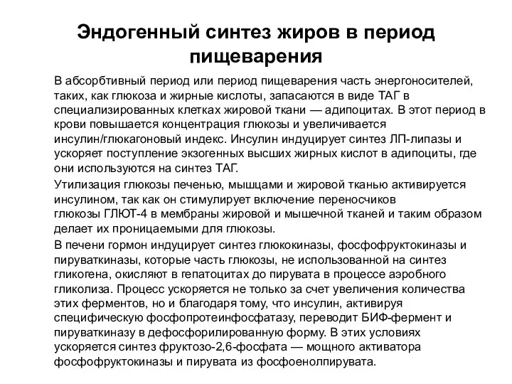 Эндогенный синтез жиров в период пищеварения В абсорбтивный период или период