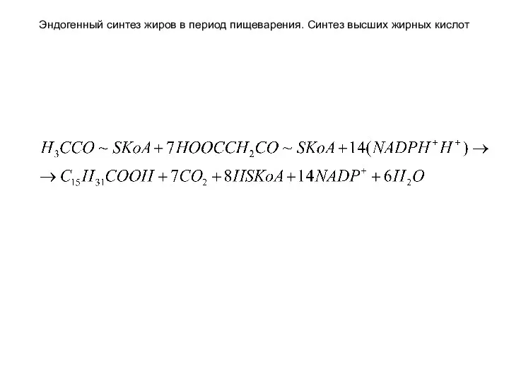 Эндогенный синтез жиров в период пищеварения. Синтез высших жирных кислот