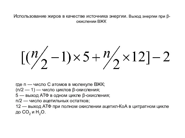 Использование жиров в качестве источника энергии. Выход энергии при β-окислении ВЖК