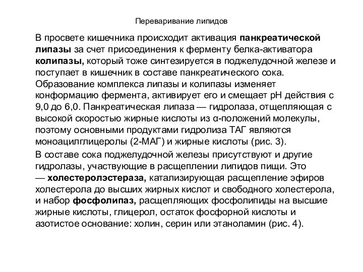 Переваривание липидов В просвете кишечника происходит активация панкреатической липазы за счет