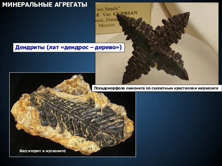 Касситерит в мусковите Псевдоморфоза лимонита по скелетным кристаллам марказита Дендриты (лат «дендрос – дерево») МИНЕРАЛЬНЫЕ АГРЕГАТЫ