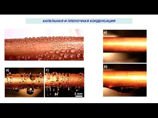 КАПЕЛЬНАЯ И ПЛЕНОЧНАЯ КОНДЕНСАЦИЯ