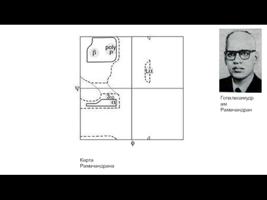 Карта Рамачандрана Гопаласамудрам Рамачандран