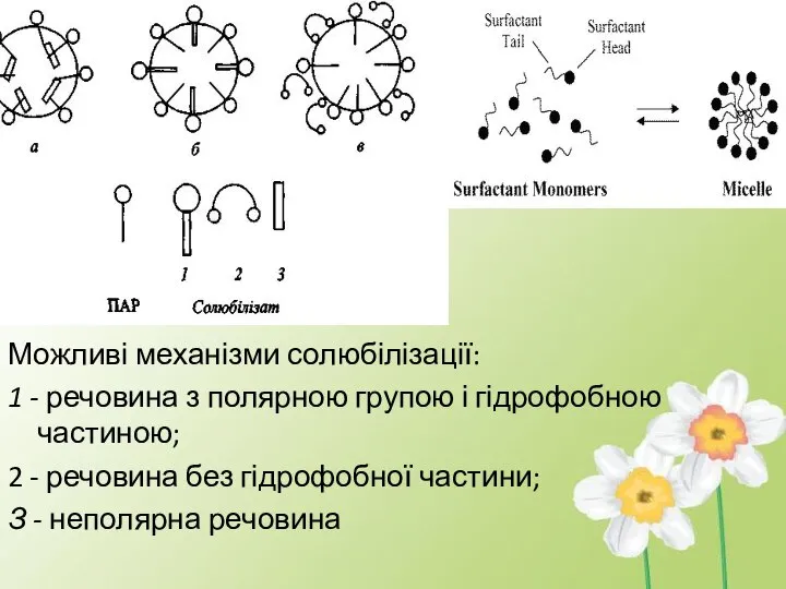 Можливі механізми солюбілізації: 1 - речовина з полярною групою і гідрофобною