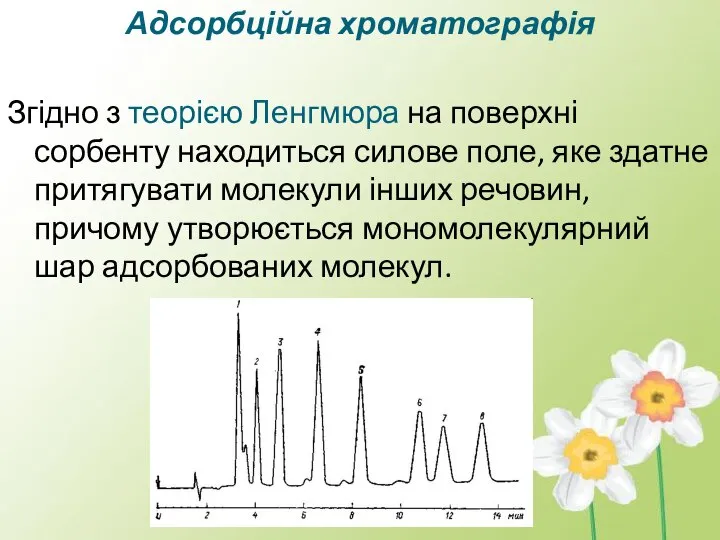 Адсорбційна хроматографія Згідно з теорією Ленгмюра на поверхні сорбенту находиться силове