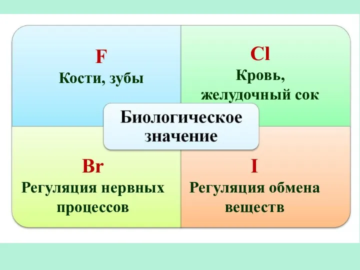 F Кости, зубы Сl Кровь, желудочный сок Br Регуляция нервных процессов I Регуляция обмена веществ