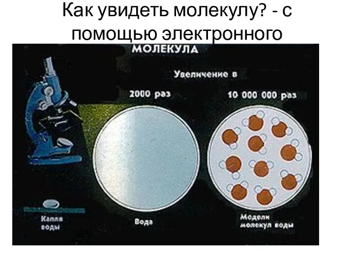 Как увидеть молекулу? - с помощью электронного микроскопа.