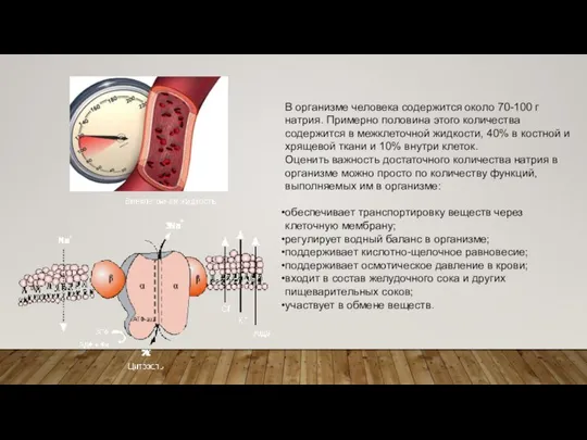 В организме человека содержится около 70-100 г натрия. Примерно половина этого