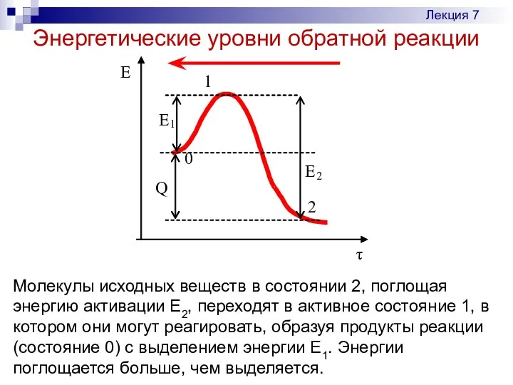 Энергетические уровни обратной реакции Лекция 7 Молекулы исходных веществ в состоянии