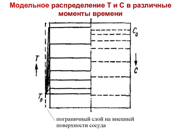 Лекция 8 Модельное распределение Т и С в различные моменты времени