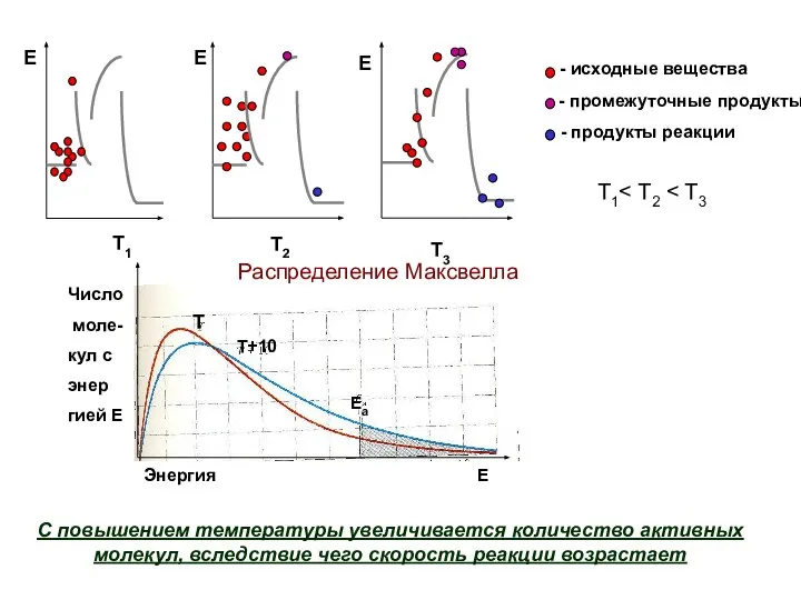 Т1 С повышением температуры увеличивается количество активных молекул, вследствие чего скорость реакции возрастает Распределение Максвелла