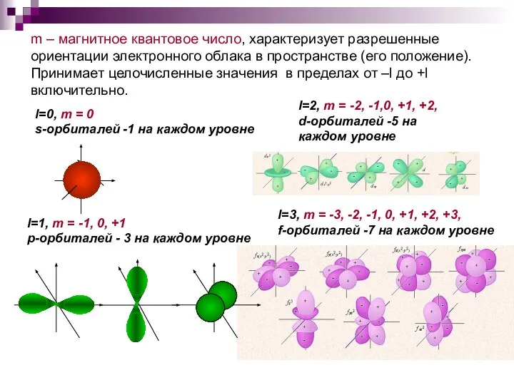 m – магнитное квантовое число, характеризует разрешенные ориентации электронного облака в