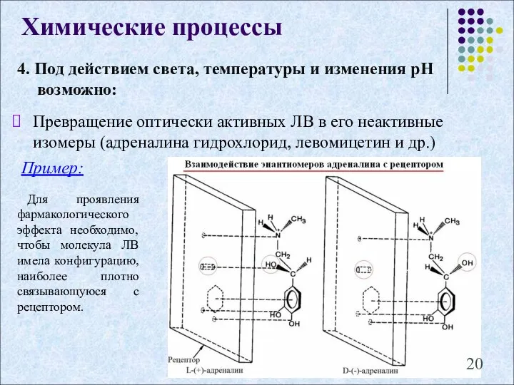 4. Под действием света, температуры и изменения рН возможно: Химические процессы