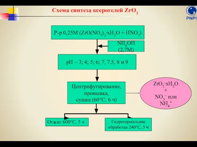 Схема синтеза ксерогелей ZrO2 ZrO2∙xH2O + NO3– или NH4+