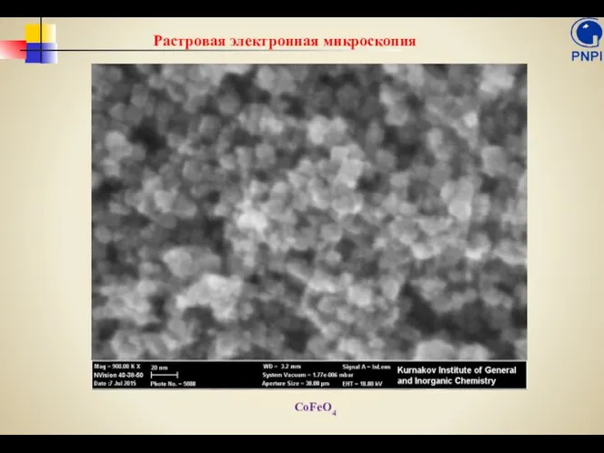 Растровая электронная микроскопия CoFeO4