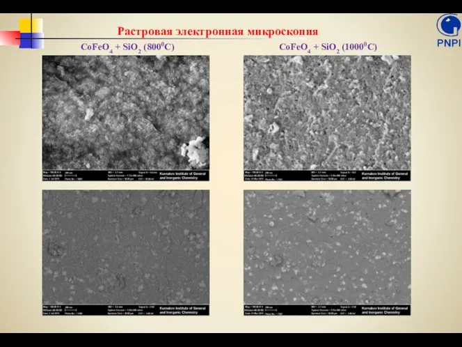 Растровая электронная микроскопия CoFeO4 + SiO2 (10000С) CoFeO4 + SiO2 (8000С)