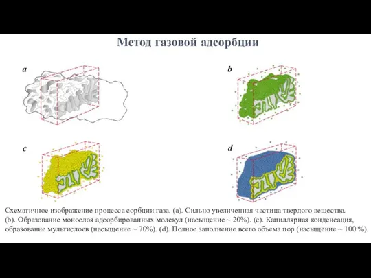 Метод газовой адсорбции a b c d Схематичное изображение процесса сорбции