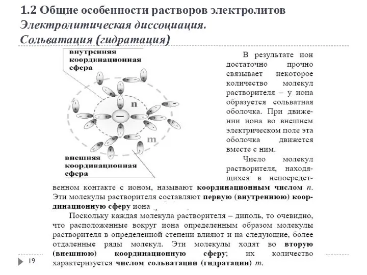 1.2 Общие особенности растворов электролитов Электролитическая диссоциация. Сольватация (гидратация)‏