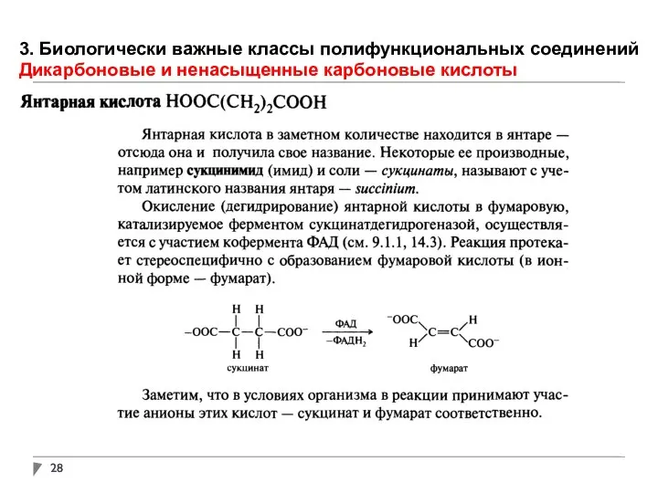 3. Биологически важные классы полифункциональных соединений Дикарбоновые и ненасыщенные карбоновые кислоты