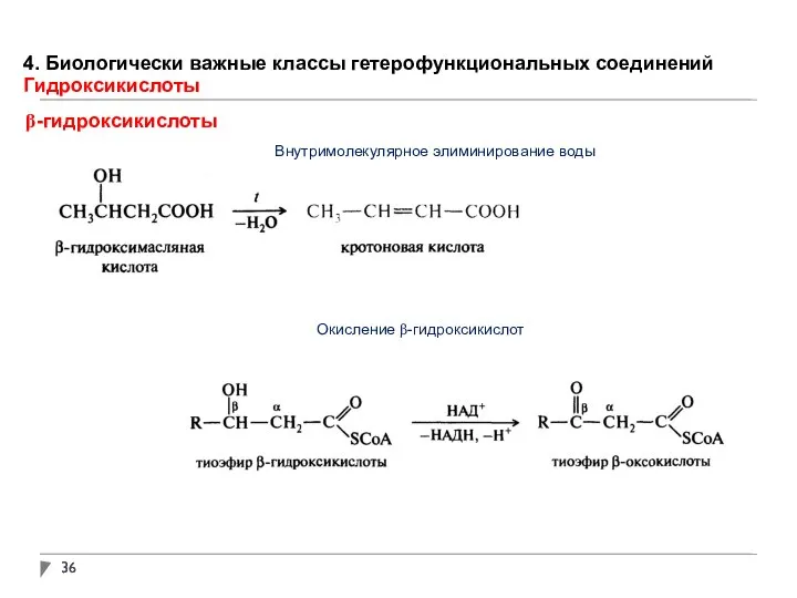 4. Биологически важные классы гетерофункциональных соединений Гидроксикислоты β-гидроксикислоты Внутримолекулярное элиминирование воды Окисление β-гидроксикислот