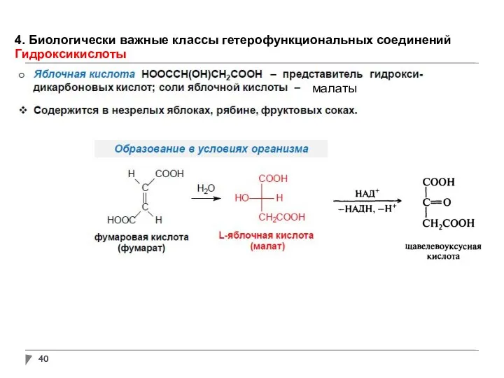 4. Биологически важные классы гетерофункциональных соединений Гидроксикислоты малаты