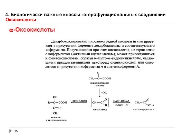 4. Биологически важные классы гетерофункциональных соединений Оксокислоты