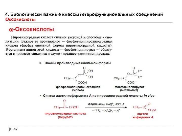 4. Биологически важные классы гетерофункциональных соединений Оксокислоты
