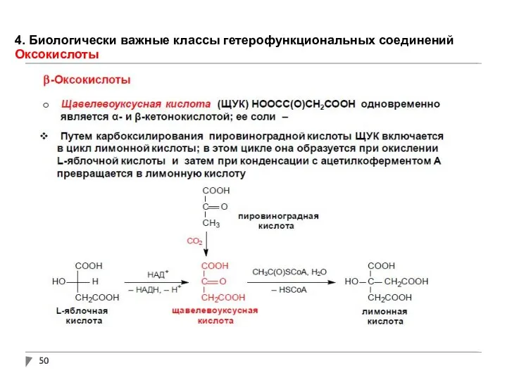 4. Биологически важные классы гетерофункциональных соединений Оксокислоты