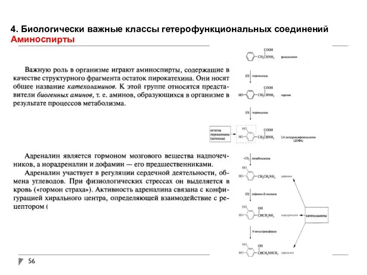 4. Биологически важные классы гетерофункциональных соединений Аминоспирты