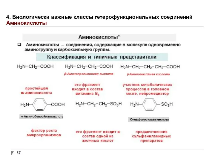 4. Биологически важные классы гетерофункциональных соединений Аминокислоты