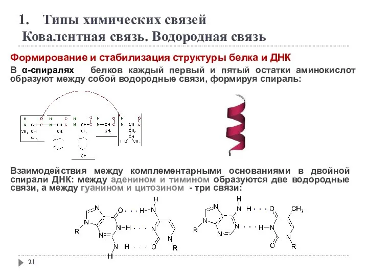 Типы химических связей Ковалентная связь. Водородная связь Формирование и стабилизация структуры