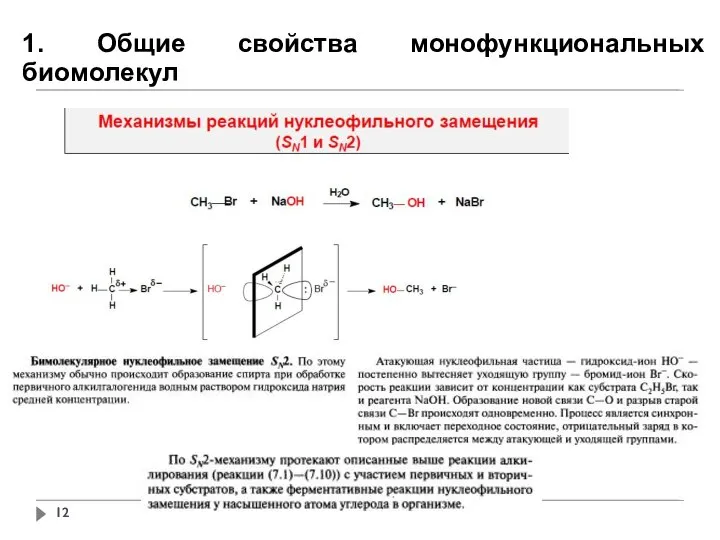 1. Общие свойства монофункциональных биомолекул