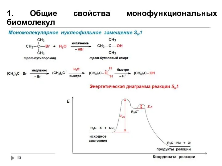 1. Общие свойства монофункциональных биомолекул