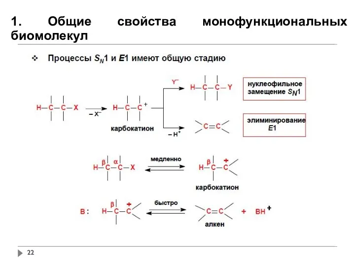 1. Общие свойства монофункциональных биомолекул