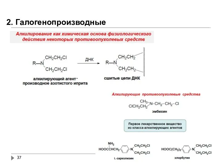 2. Галогенопроизводные