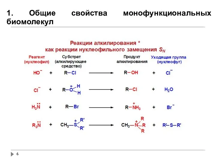 1. Общие свойства монофункциональных биомолекул