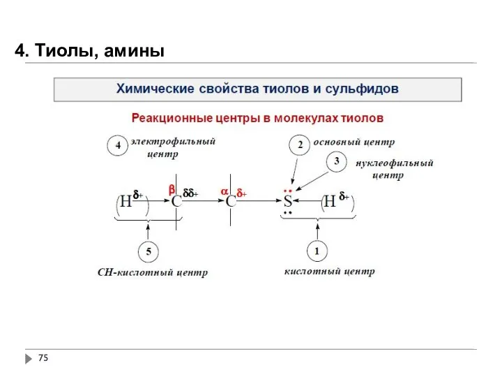 4. Тиолы, амины