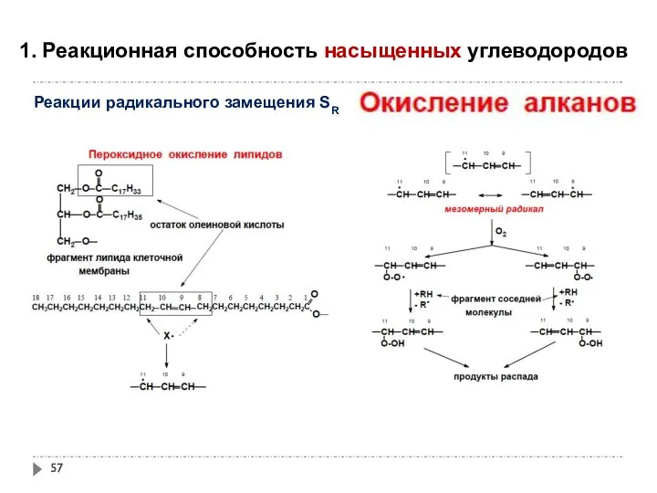 1. Реакционная способность насыщенных углеводородов Реакции радикального замещения SR