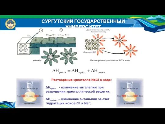 СУРГУТСКИЙ ГОСУДАРСТВЕННЫЙ УНИВЕРСИТЕТ