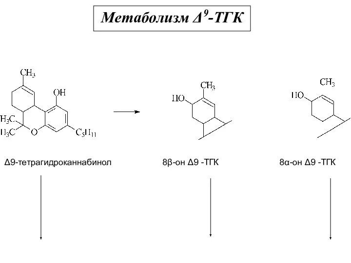 Метаболизм Δ9-ТГК Δ9-тетрагидроканнабинол 8β-он Δ9 -ТГК 8α-он Δ9 -ТГК