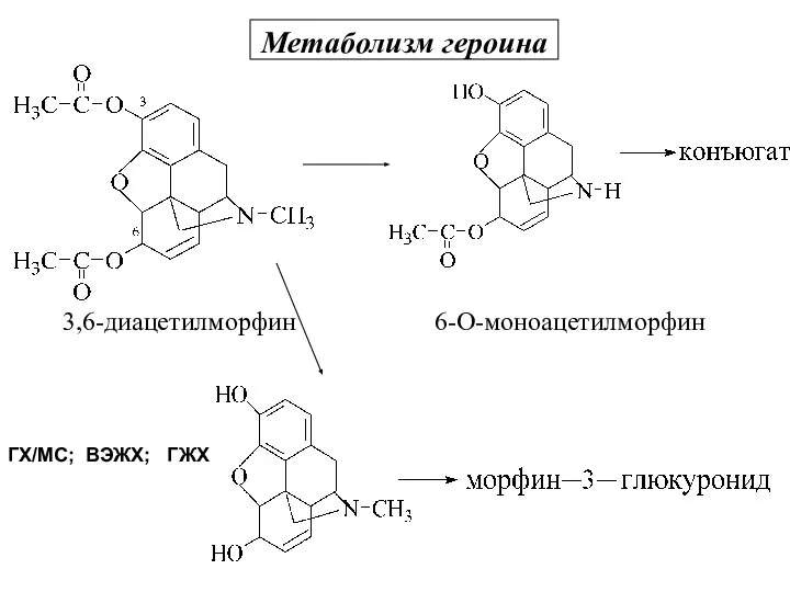 Метаболизм героина 3,6-диацетилморфин 6-О-моноацетилморфин ГХ/МС; ВЭЖХ; ГЖХ морфин Метаболизм героина